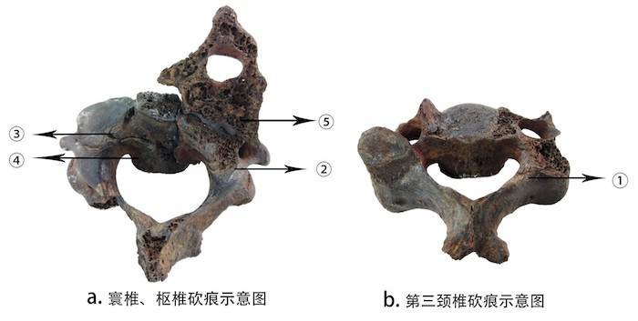 骨雕制作全过程图,骨雕制作全过程图与前沿分析解析，斩版艺术中的18.43.88探索,可靠评估解析_优选版61.26.37