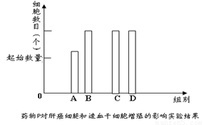 酶制剂原料,酶制剂原料的安全性方案设计,科学研究解释定义_PalmOS87.88.56