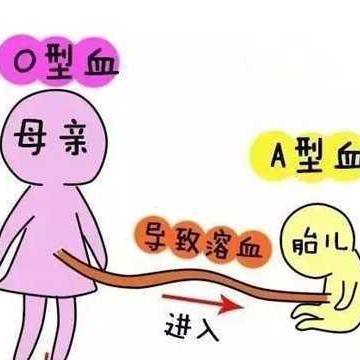 abo溶血能治愈吗,关于abo溶血能否治愈及市场趋势方案实施的分析与探讨,家野中特_版子92.44.89