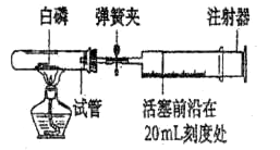 纵横藏锋 第6页