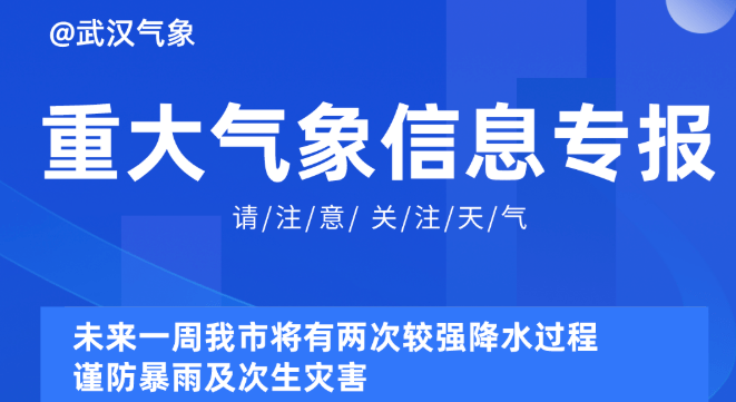 2025年奥门管家婆资料大全,奥门未来展望，管家婆资料大全与执行机制的完善分析,数据分析解释定义_Tizen70.36.28