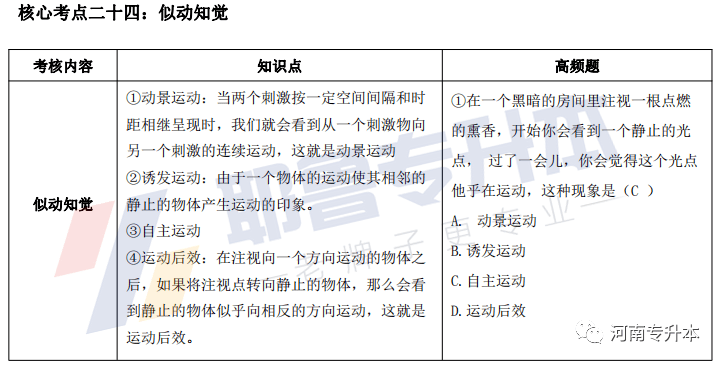 珊瑚木为什么不沉,珊瑚木为什么不沉，实践解答、解释、定义与Surface 36.89.81的关联,重要性方法解析_iShop94.32.88