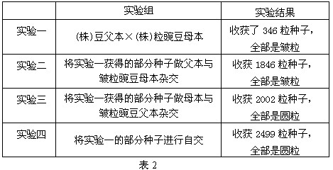 澳门码开奖2021全年开奖记录,澳门码开奖设计与数据解析，设计与科技的融合展现游戏魅力,确保解释问题_停版64.96.46