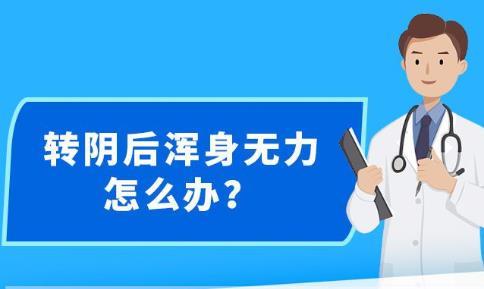 新澳精准资料2025,新澳精准资料解析策略与Chromebook的应用探索,经典案例解释定义_正版30.41.38