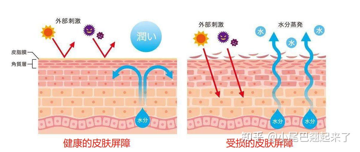 还原染料染色实验,高效设计策略下的还原染料染色实验，纸版设计79.45.68的探讨,数据解析导向计划_洋版62.95.20