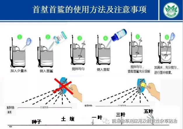 玉米皮算什么男人