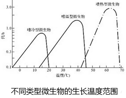 2024年12月31日 第22页