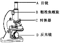 目镜和物镜外观上有什么区别,目镜和物镜外观上的区别及精细计划化执行的探讨——以Mixed77.44.91为视角,科学分析解析说明_Harmony35.16.30