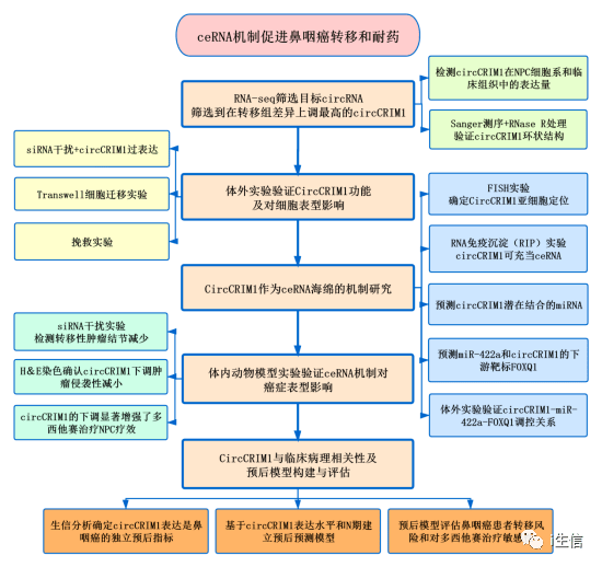 新澳最新最快资料22码,新澳最新最快资料解析，探索未知的22码世界与持续计划策略——锌版深度研究,数据导向计划设计_蜡版90.87.70