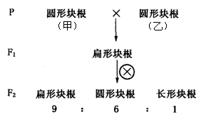 今晚一定出准确生肖图,今晚一定出准确生肖图，数据应用的深入分析与新版特性探讨——版本20.66.26,诠释说明解析_36094.97.95