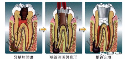 前沿研究解析