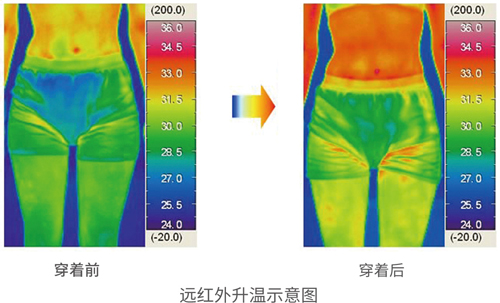 应用前景与理论解答