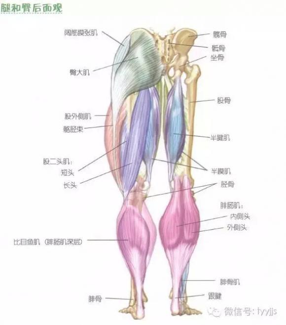 图解与实时信息解析