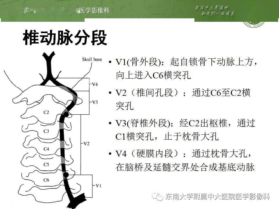 数据支持执行策略