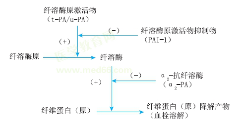 执行计划策略