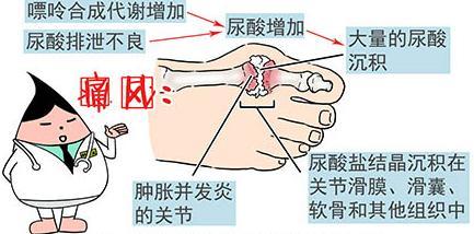 实效性计划设计与安全评估策略