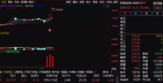 战略版数据统计分析（或“战略版分析解释”）