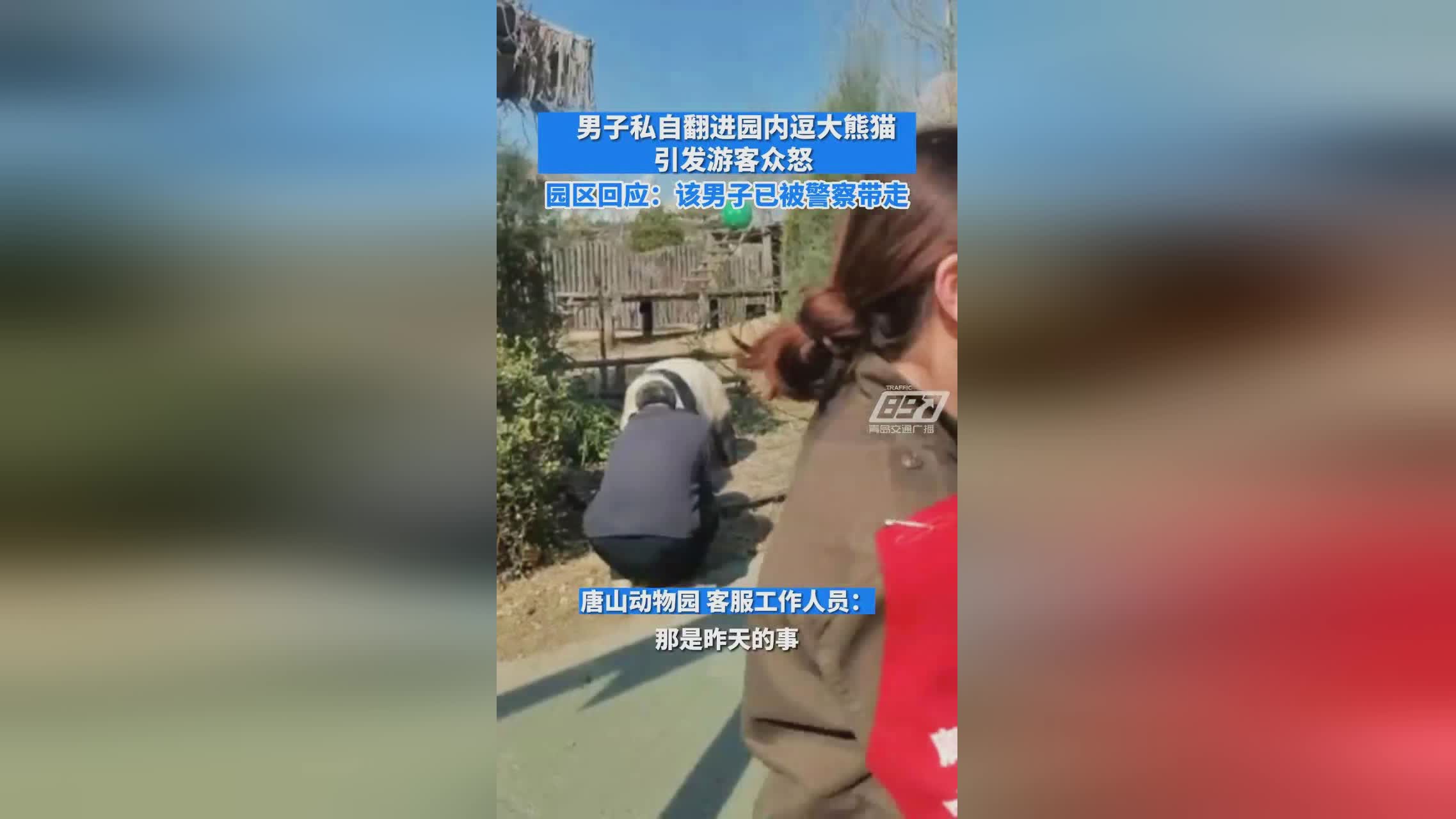 男子砸可乐熊猫