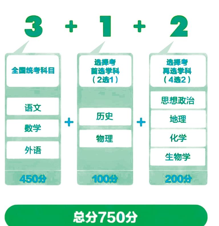 新澳门2025历史开奖摇钱树